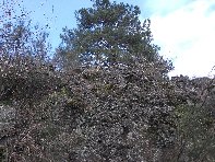 nte Cagliato-20110220 064